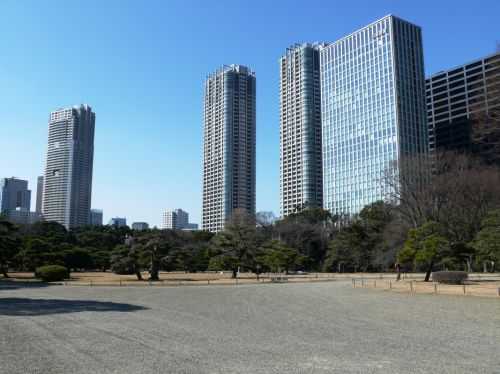 MARATONA DI TOKYO 2015 2013